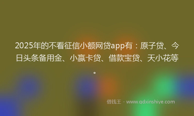 2025年的不看征信小额网贷app有：原子贷、今日头条备用金、小赢卡贷、借款宝贷、天小花等。