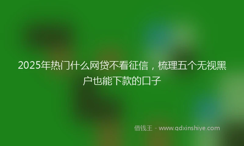 2025年热门什么网贷不看征信，梳理五个无视黑户也能下款的口子