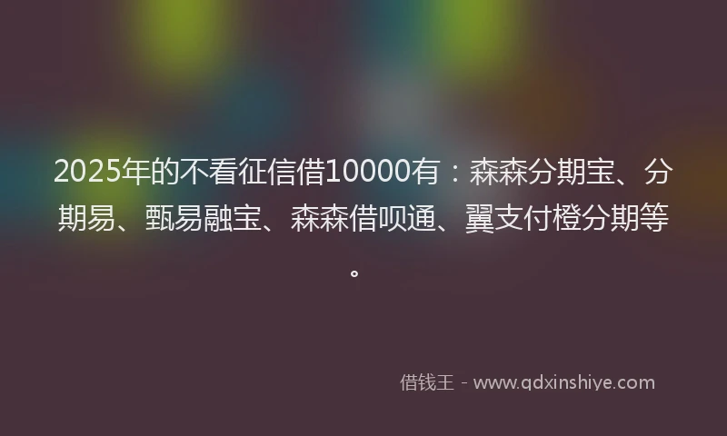 2025年的不看征信借10000有：森森分期宝、分期易、甄易融宝、森森借呗通、翼支付橙分期等。