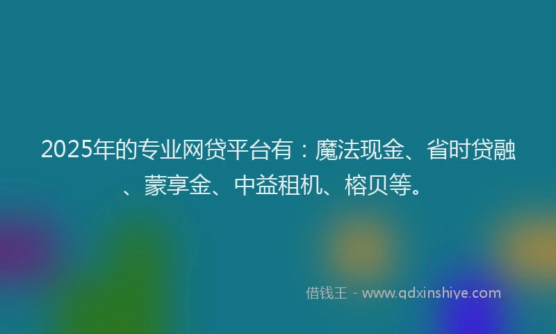 2025年的专业网贷平台有：魔法现金、省时贷融、蒙享金、中益租机、榕贝等。