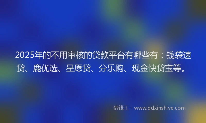 2025年的不用审核的贷款平台有哪些有：钱袋速贷、鹿优选、星愿贷、分乐购、现金快贷宝等。