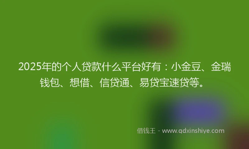 2025年的个人贷款什么平台好有：小金豆、金瑞钱包、想借、信贷通、易贷宝速贷等。