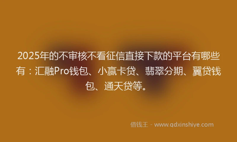 2025年的不审核不看征信直接下款的平台有哪些有：汇融Pro钱包、小赢卡贷、翡翠分期、翼贷钱包、通天贷等。