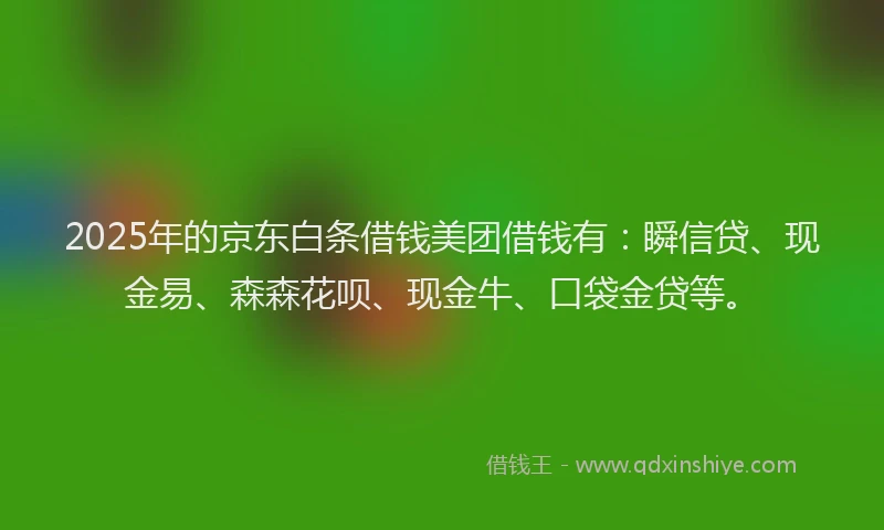 2025年的京东白条借钱美团借钱有：瞬信贷、现金易、森森花呗、现金牛、口袋金贷等。