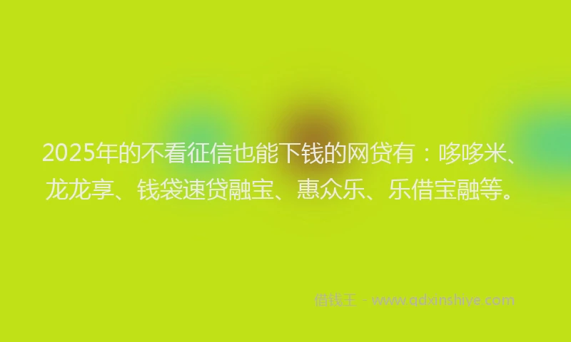 2025年的不看征信也能下钱的网贷有：哆哆米、龙龙享、钱袋速贷融宝、惠众乐、乐借宝融等。