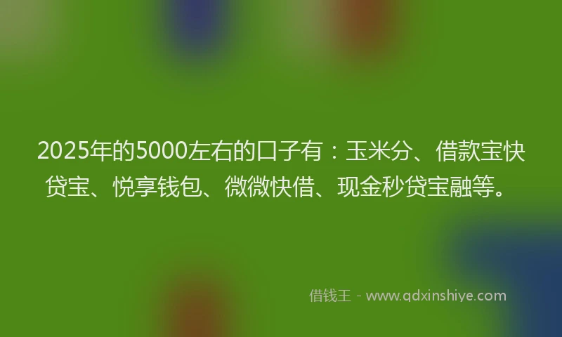 2025年的5000左右的口子有：玉米分、借款宝快贷宝、悦享钱包、微微快借、现金秒贷宝融等。