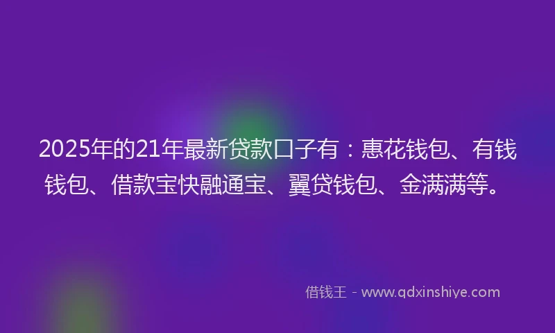2025年的21年最新贷款口子有：惠花钱包、有钱钱包、借款宝快融通宝、翼贷钱包、金满满等。