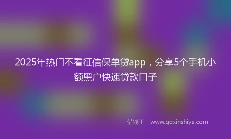 2025年热门不看征信保单贷app，分享5个手机小额黑户快速贷款口子