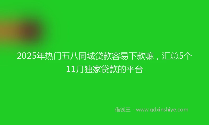 2025年热门五八同城贷款容易下款嘛，汇总5个11月独家贷款的平台