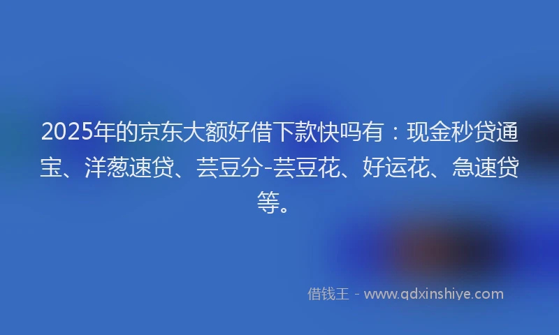 2025年的京东大额好借下款快吗有：现金秒贷通宝、洋葱速贷、芸豆分-芸豆花、好运花、急速贷等。