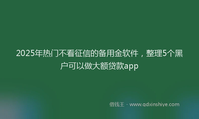 2025年热门不看征信的备用金软件，整理5个黑户可以做大额贷款app