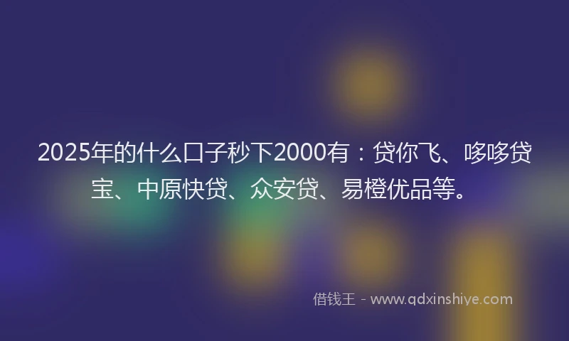 2025年的什么口子秒下2000有：贷你飞、哆哆贷宝、中原快贷、众安贷、易橙优品等。