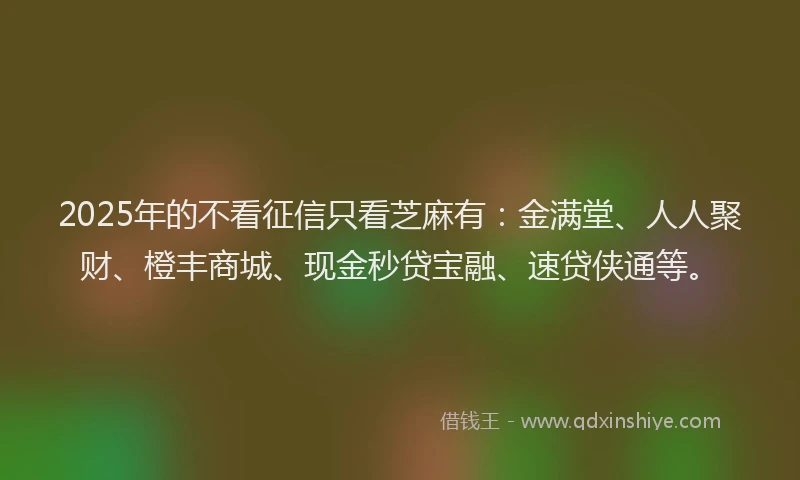 2025年的不看征信只看芝麻有：金满堂、人人聚财、橙丰商城、现金秒贷宝融、速贷侠通等。