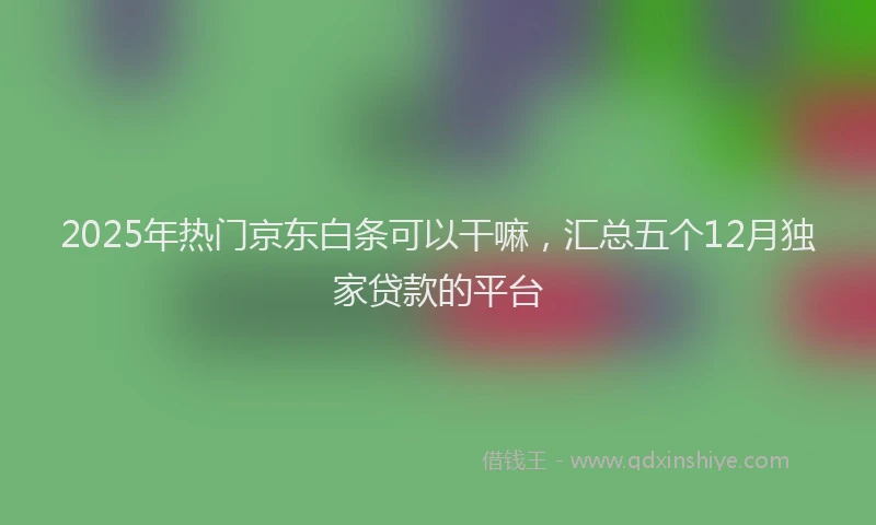2025年热门京东白条可以干嘛，汇总五个12月独家贷款的平台