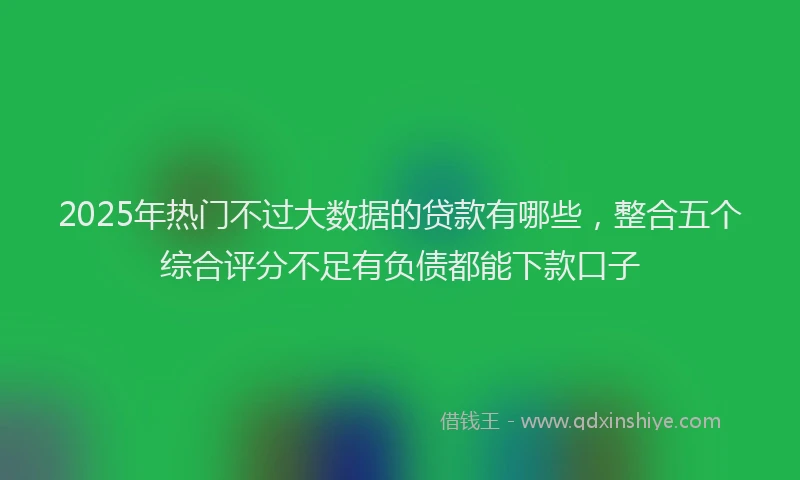 2025年热门不过大数据的贷款有哪些，整合五个综合评分不足有负债都能下款口子