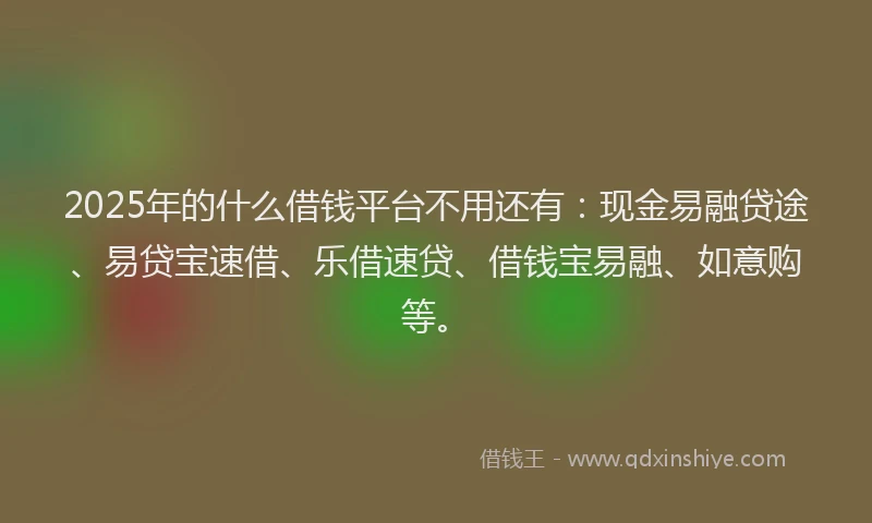 2025年的什么借钱平台不用还有：现金易融贷途、易贷宝速借、乐借速贷、借钱宝易融、如意购等。