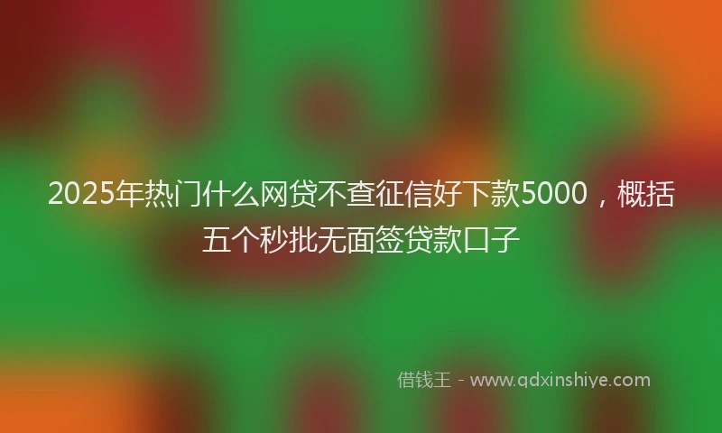 2025年热门什么网贷不查征信好下款5000，概括五个秒批无面签贷款口子