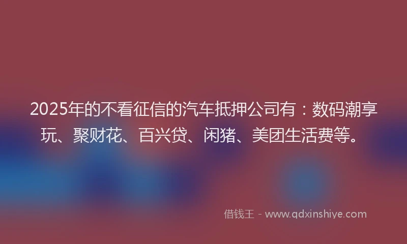 2025年的不看征信的汽车抵押公司有：数码潮享玩、聚财花、百兴贷、闲猪、美团生活费等。