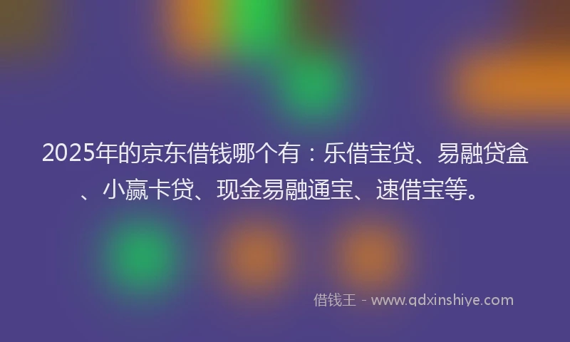 2025年的京东借钱哪个有：乐借宝贷、易融贷盒、小赢卡贷、现金易融通宝、速借宝等。