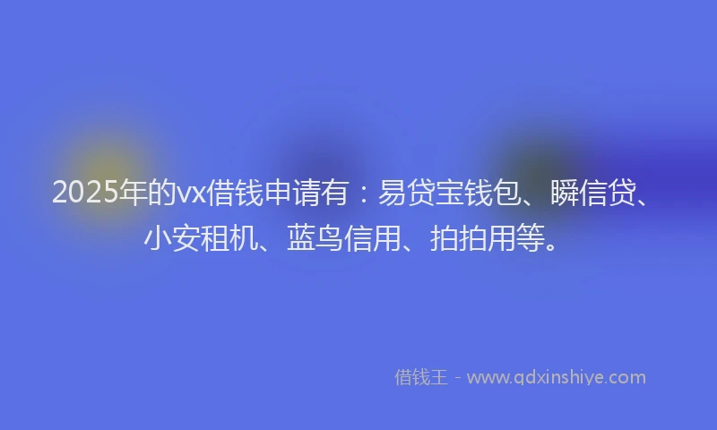 2025年的vx借钱申请有：易贷宝钱包、瞬信贷、小安租机、蓝鸟信用、拍拍用等。