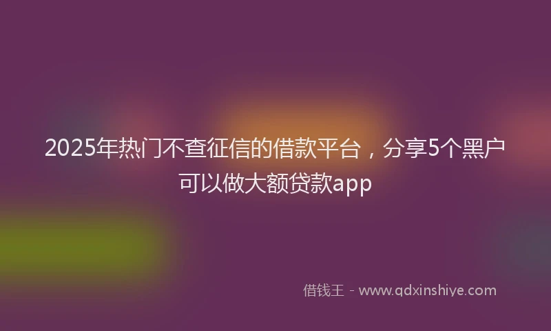 2025年热门不查征信的借款平台，分享5个黑户可以做大额贷款app