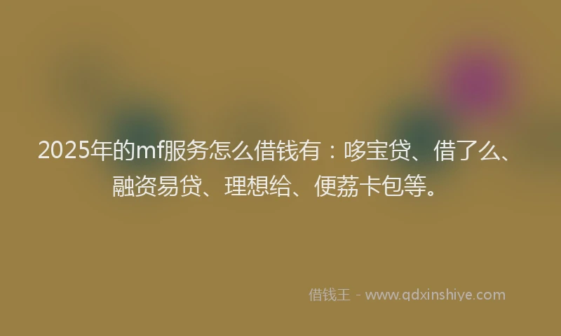 2025年的mf服务怎么借钱有：哆宝贷、借了么、融资易贷、理想给、便荔卡包等。