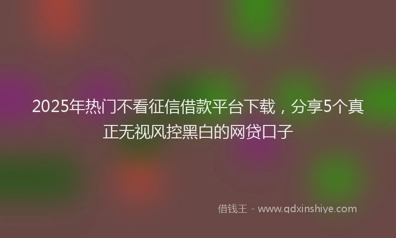 2025年热门不看征信借款平台下载，分享5个真正无视风控黑白的网贷口子