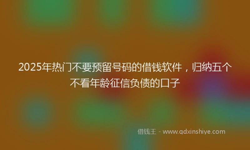 2025年热门不要预留号码的借钱软件，归纳五个不看年龄征信负债的口子