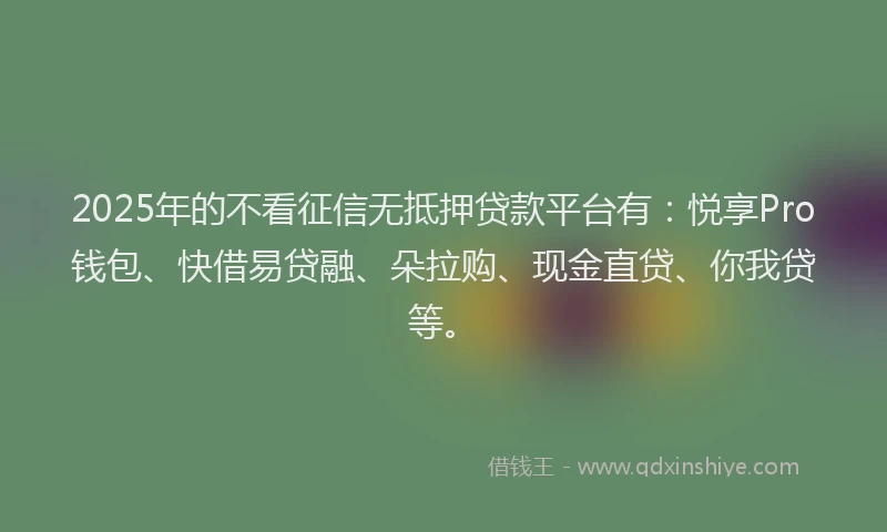 2025年的不看征信无抵押贷款平台有：悦享Pro钱包、快借易贷融、朵拉购、现金直贷、你我贷等。
