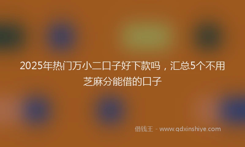 2025年热门万小二口子好下款吗，汇总5个不用芝麻分能借的口子