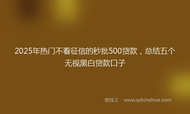 2025年热门不看征信的秒批500贷款，总结五个无视黑白贷款口子