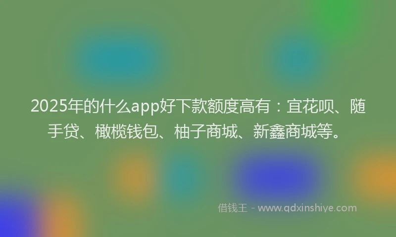 2025年的什么app好下款额度高有：宜花呗、随手贷、橄榄钱包、柚子商城、新鑫商城等。