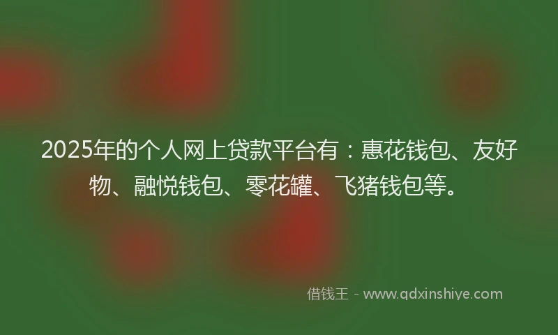 2025年的个人网上贷款平台有：惠花钱包、友好物、融悦钱包、零花罐、飞猪钱包等。