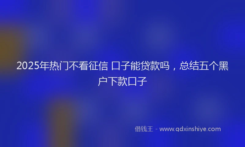 2025年热门不看征信 口子能贷款吗，总结五个黑户下款口子