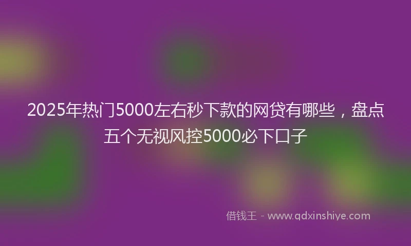 2025年热门5000左右秒下款的网贷有哪些，盘点五个无视风控5000必下口子