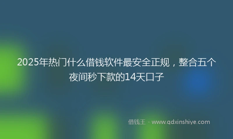 2025年热门什么借钱软件最安全正规，整合五个夜间秒下款的14天口子