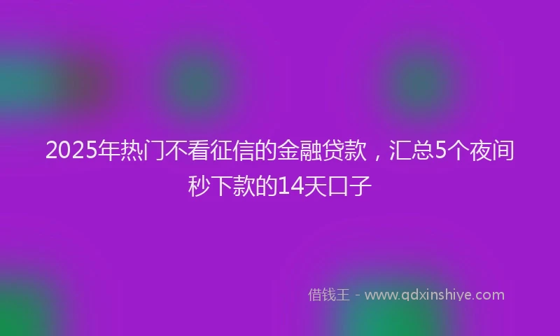 2025年热门不看征信的金融贷款，汇总5个夜间秒下款的14天口子