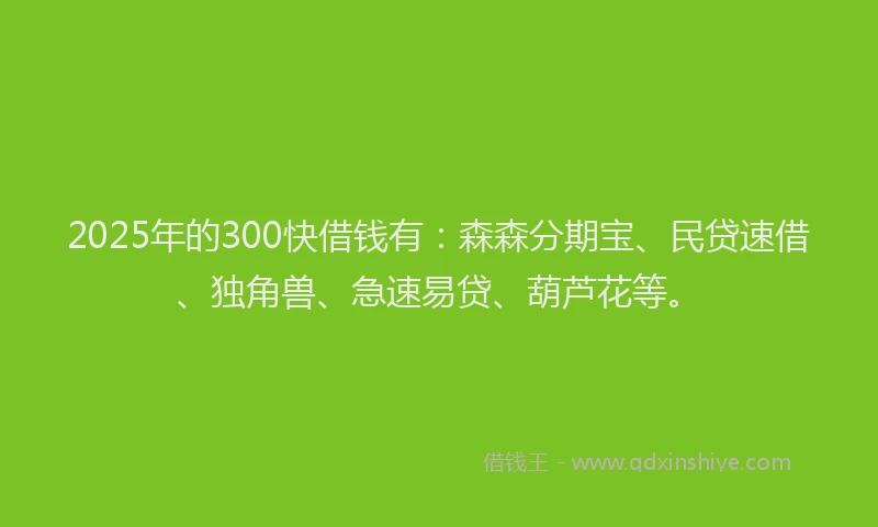 2025年的300快借钱有：森森分期宝、民贷速借、独角兽、急速易贷、葫芦花等。