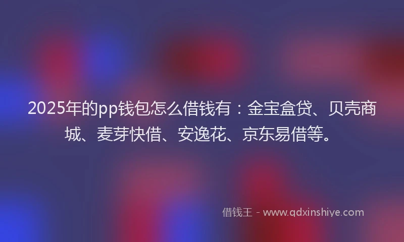 2025年的pp钱包怎么借钱有：金宝盒贷、贝壳商城、麦芽快借、安逸花、京东易借等。