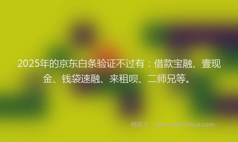 2025年的京东白条验证不过有：借款宝融、壹现金、钱袋速融、来租呗、二师兄等。