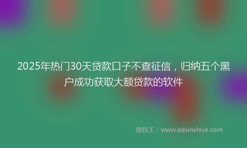 2025年热门30天贷款口子不查征信，归纳五个黑户成功获取大额贷款的软件