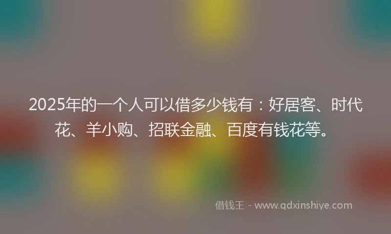 2025年的一个人可以借多少钱有：好居客、时代花、羊小购、招联金融、百度有钱花等。