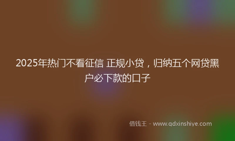 2025年热门不看征信 正规小贷，归纳五个网贷黑户必下款的口子
