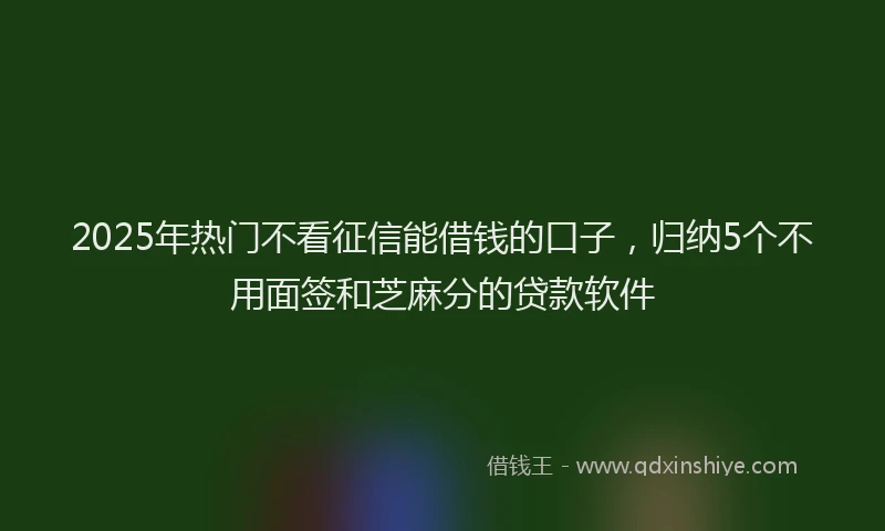 2025年热门不看征信能借钱的口子，归纳5个不用面签和芝麻分的贷款软件