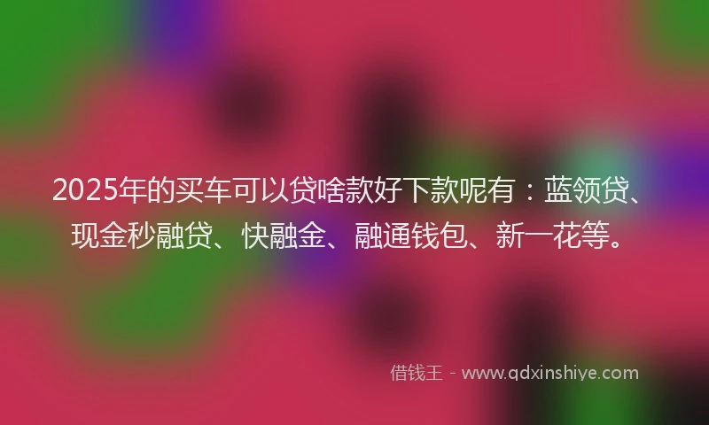 2025年的买车可以贷啥款好下款呢有：蓝领贷、现金秒融贷、快融金、融通钱包、新一花等。
