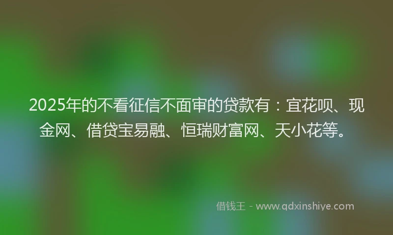 2025年的不看征信不面审的贷款有：宜花呗、现金网、借贷宝易融、恒瑞财富网、天小花等。