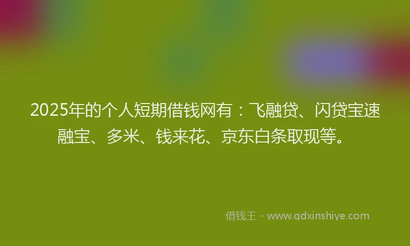 2025年的个人短期借钱网有：飞融贷、闪贷宝速融宝、多米、钱来花、京东白条取现等。