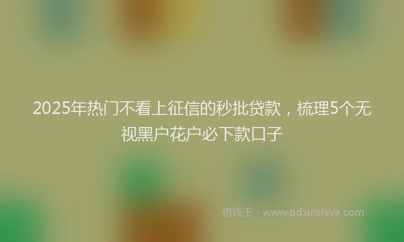 2025年热门不看上征信的秒批贷款，梳理5个无视黑户花户必下款口子