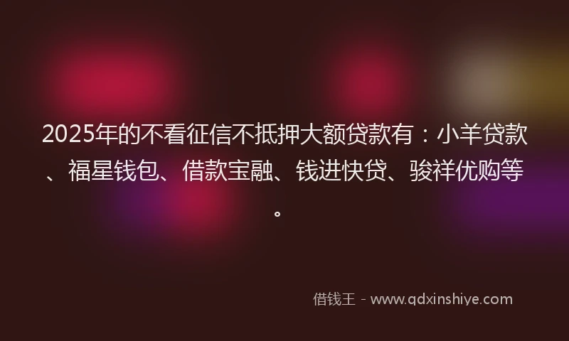 2025年的不看征信不抵押大额贷款有：小羊贷款、福星钱包、借款宝融、钱进快贷、骏祥优购等。