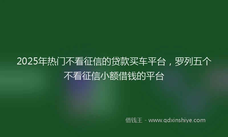 2025年热门不看征信的贷款买车平台，罗列五个不看征信小额借钱的平台